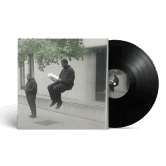 AT THE PARTY - VINYLE