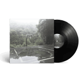 AT THE PARTY - VINYLE